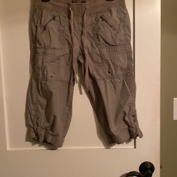 apt 9 Capris with no flaws! - Picture 3 of 4